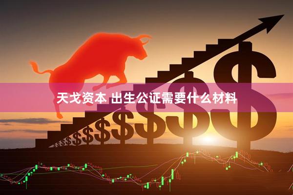 天戈资本 出生公证需要什么材料