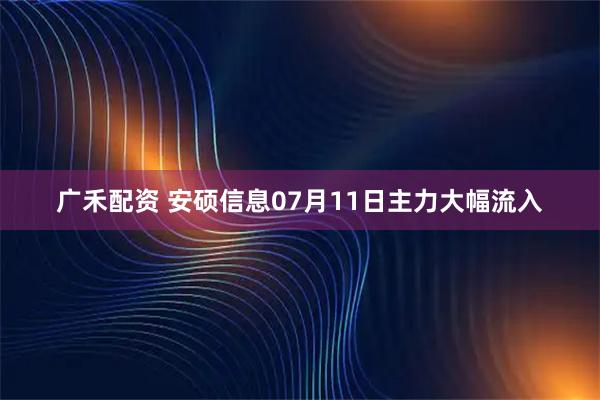 广禾配资 安硕信息07月11日主力大幅流入