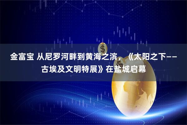 金富宝 从尼罗河畔到黄海之滨，《太阳之下——古埃及文明特展》在盐城启幕