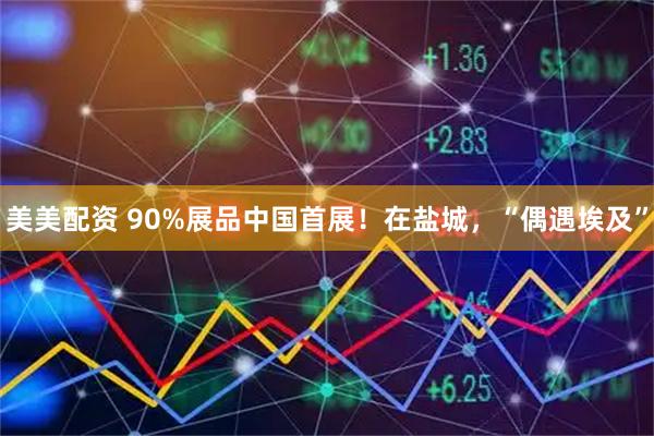 美美配资 90%展品中国首展！在盐城，“偶遇埃及”