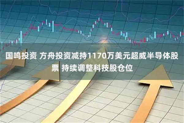 国鸣投资 方舟投资减持1170万美元超威半导体股票 持续调整科技股仓位