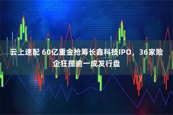 云上速配 60亿重金抢筹长鑫科技IPO,36家险企狂揽逾一成发行盘